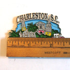 Charleston South Carolina Souvenir Magnet Historic Houses Churches Palmetto Palm