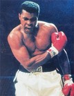 20  X 16      Iconic Ali Vs  Liston Ii Knockdown     Signed   Includes Coa