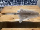 Genuine Forester Great Gray Tanned Kangaroo Skin Hide Fur Leather 51   x23   
