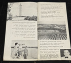 Vintage Florida Citrus Tower In Clermont Foldout Brochure