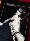 Madonna Like A Virgin Tour Massive Banner Flag Promo Album Poster Excellent Item