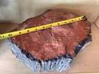 21 9lbs 10    Petrified Wood 