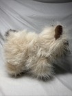 Ganz Webkinz Himalayan Kitty Cat Plush Stuffed Animal 9  Sealed Code Him165