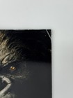 King Kong  2005  Japanese Movie Program Naomi Watts Jack Black