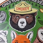 Vintage Forest Service Sign - Smokey Bear Colorado Wilderness Gas Porcelain Sign