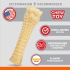 Nylabone Textured Knuckle Bone Power Chew Toy For Dogs  Durable   Tough Dog Toys