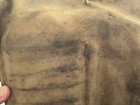 Ww1 Us Gas Mask With Carry Bag Leggings Named 313th Engineer 88th Division