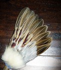 Pheasant Native American Smudge Fan Feather Antler  Prayer Ceremonial Regalia