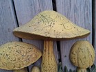 1970 Vtg Syroco Burwood Mushroom Wall Hanging Plaque Plastic Decor 7162 Hippie