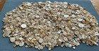 5 Lbs Antique Vintage White Mop Pearl Shell Buttons - Huge Old Lot