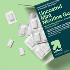 Nicotine 2mg Gum Stop Smoking Aid - Mint Flavor - 170ct - Up up