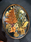 Arts   Crafts Colorful Dried Flowers In Glass Frame W  Copper Edge 12x9 