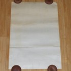 Kid Rock Palladium Roseville Michigan 1996 Original Concert Poster