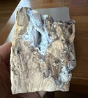 Blue Forest Petrified Wood  Eden Valley   Wyoming - Botryoidal Specimen