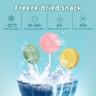 Lollipop Cat Treats  Freeze-dried Lickable Snacks For Indoor Cats  Natural So   