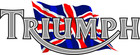 Customisable Retro Vintage English Classic Triumph Logo Premium Biker T-shirt