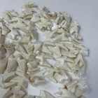 Lot Of 50 Real Coyote Molars Teeth Taxidermy Art Weird Odd Project Unqiue   3074