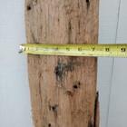 Large Raw Ocean Driftwood Slab 