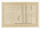 Mexico 1912 Campeche-laguna Corporation Stock Certificate Timber Chicle