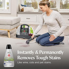Little Green Spot   Stain Cleaning Solution With Oxy And Stainprotect  For All L