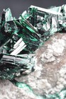 Brochantite   Milpillas Mine  Mapimi  Sonora  Mexico 65x22mm