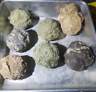  each 3-lb Lot     6 To 8 Uncut Rough Thundereggs Oregon  Agate Crystal Jasper