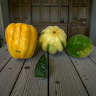 Vintage Lot 4 X Realistic Vegetables Gourds Candles Farmhouse Cottage Decor