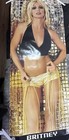 Britney Spears Concert Tour Doorposter Dream Within A Dream 59x24 Rare Brand New