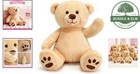 12 Inch Soft Plush Teddy Bear  Light Brown Stuffed Animal For Kids And Gifts