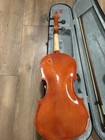 Viola