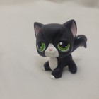 Lps Littlest Pet Shop No   Puzzle    55 Black White Angora Cat Lot Authentic
