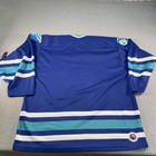 Vintage Worcester Icecats Jersey Mens Large Blue Ahl Hockey Bauer 90s Retro