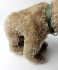 Vintage 1950 s Steiff Bear Cub Jungbear Green Collar Ear Button Partial Tag
