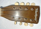 Vintage Stella Harmony Mandolin Starburst 50   s-60   s    