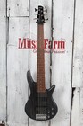 Ibanez Gio Sr206 Bass 6 String Electric Bass Guitar Transparent Gray Flat