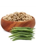 Bush Bean Seeds 200  Navy Bean Seed Garden Bean Seed Heirloom No Gmo Fast Usa 