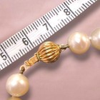 Japanese Akoya Pearl Necklace 14k Yellow Gold Box Clasp Cp 585 Hallmark 16 Inch