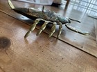 Vintage Mid Century Modernist Mixed Metals Abalone Scorpion Tray Mexican  Signed