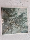 Melissa Etheridge Original 1999 Issue - Breakdown - Vinyl Album--bonus Free Lp 