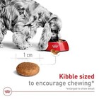 Royal Canin Size Health Nutrition Medium Adult Dry Dog Food  40-lb Bag