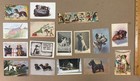 Large Lot Dogs Puppies Vintage Postcards  Photos  Trade Cards