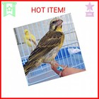 Foiburely 100 Pcs Numbered Bird Ring Leg Bands For Gouldian Zebra Finch Canary S