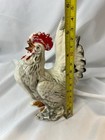 Vintage 1954 White Ceramic Rooster Red Comb Hand Painted 5 5   chicken Figurine