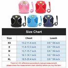 Mesh Padded Dog Harness   Leash Pet Puppy Vest For Small Medium Dogs Chihuahua