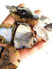 1  11  Lb Cut Slabs Medium Size Gem Stone Crystals Agate Jasper  Rough Mix Lot  