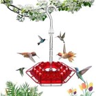  Built-in Ant Moat Ant Proof Hummingbird Feeder  Outdoor Hanging Perch