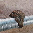 Extremely Rare Ancient Ring Bronze Roman Lion Symbol Old Authentic Artifact