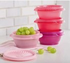 New Tupperware Servalier Storage Containers W  Seals Set 10 Oz Pinks New