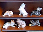 Willabee   Ward Captivating Cats Collection  27 Cats With Wooden Hanging Shelf
