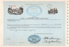 Vintage Original Stock bond Certificates - All Different - Lot Of 10